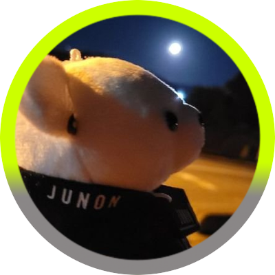 珠里's profile picture