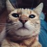 Profilbild von Bagn3t