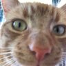 Profilbild von Butch Catiddy (🌈Rog & Sundance)