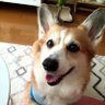あきꕤ*.゚'s profile picture