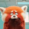 喜欢肉肉的胖太's profile picture
