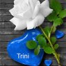 Фото профиля Trini 🎧🎶🖊️💄🤘🏻🎸🌹🌼 🌷🐞💙💜🖤🫶🏻