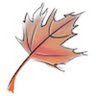 Nataraj K's profile picture