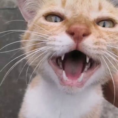 ttaylorswiftt67's profile picture