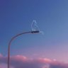 うか's profile picture