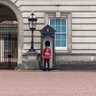 Фото профиля Daniel Wood