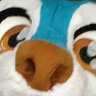 Фото профиля Wet smelly blue fox