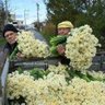 Fadeljaber profil fotoğrafı
