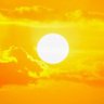 🇹🇷Fatih'in Fedaisi's profile picture