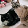Minya F n.SSign.love profil fotoğrafı