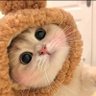 HouBro profil fotoğrafı