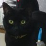 かわばっチャン❗'s profile picture