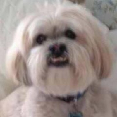ForecasterEnten's profile picture