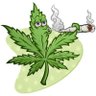 Фото профиля 🍀 Marihuana