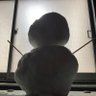 kiyo9088's profile picture