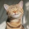 Jai Boi's profile picture