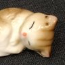 ソムキャット・茶トラ's profile picture
