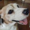 色プロそうしん君 的头像