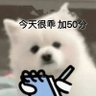 是根番薯好了(过期男高版)'s profile picture