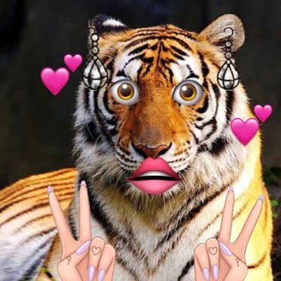 Borsa Kaplaniçesi's profile picture