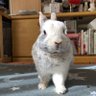 さか's profile picture