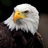 Ruska's profile picture