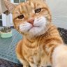 Felicjan profil fotoğrafı