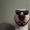 Profilbild von NYG Black Pill