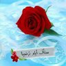 ابو العز الغرباني العياني's profile picture