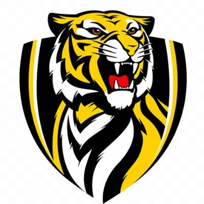 Ripley Tiger Football's profile picture