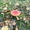 Фото профиля Paweł