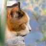 Bon profil fotoğrafı