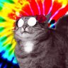 Profilbild von Wilder