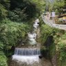 Фото профиля たぬきたぬお