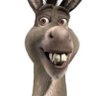 Maximimo Dominguez Rendon's profile picture