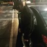 RealLyfezombiee profil fotoğrafı