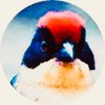 Фото профиля Full Metal Finch 💙🇺🇦