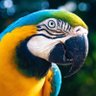 PÁTRIA AMADA BRASIL+ DEMOCRACIA🇧🇷🇧🇷.'s profile picture