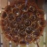 Saba Yılmaz's profile picture