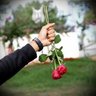 Фото профиля صالح العنزي