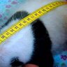 Profilbild von 抮倪æš