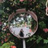 LemonLaut profil fotoğrafı