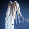 Maneuver Dominance's profile picture