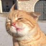 IM profil fotoğrafı