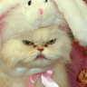Profilbild von 鈴木洋