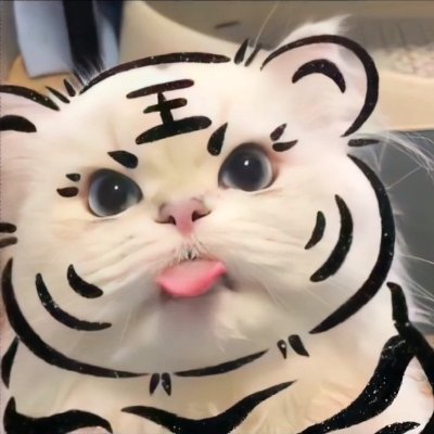 dandaye4's profile picture