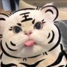 ❄疍❄'s profile picture