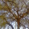 Фото профиля walter otieno