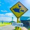 Фото профиля はらぺこ