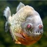BaskervileFish's profile picture